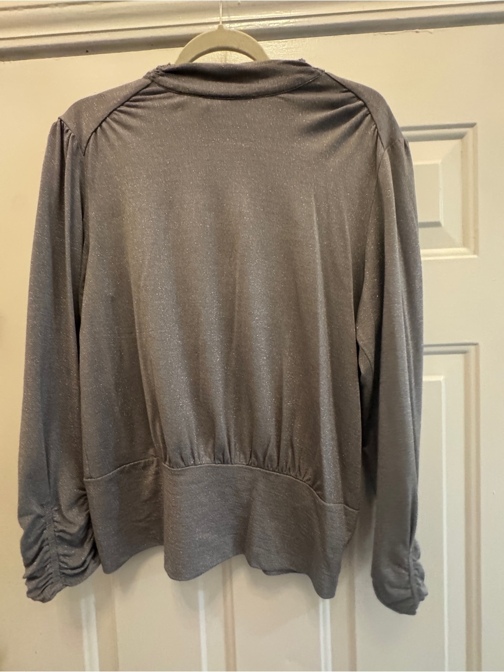 Shimmer Long-Sleeve Women’s Top in Silver